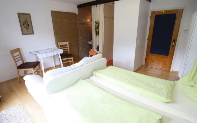 Cozy Apartment in Niedernsill Near Lake