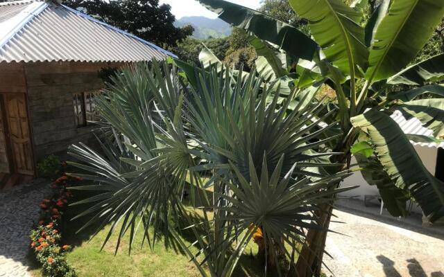 Deep Forest Posadas Ecoturisticas