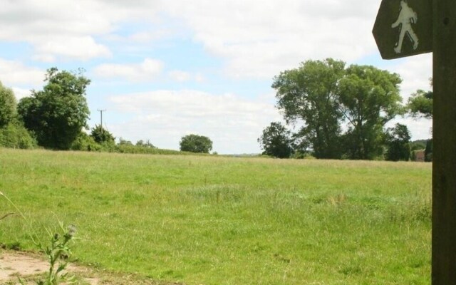 Elm View