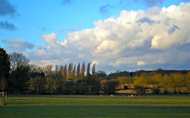 Little Bullocks Farm