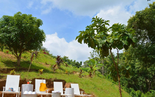 Sweet Harmony Hotel Boutique by Xarm Hotels