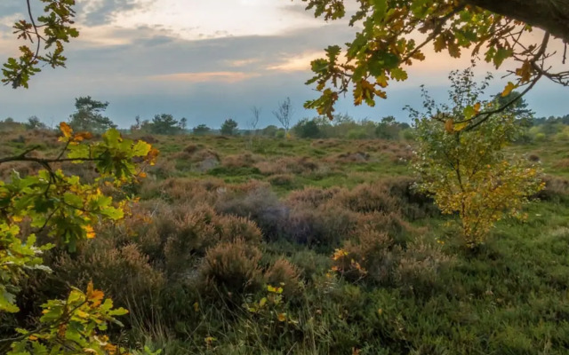 Holiday Home North Sea Sand