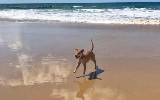 Mudjimba Esplanade Villa