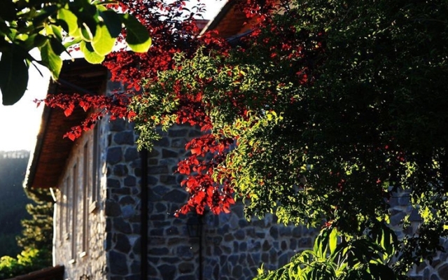 Holiday Home Pratovecchio (AR) with Fireplace I