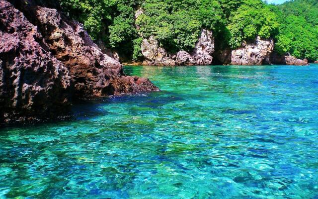 Mai Dive Astrolabe Reef Resort