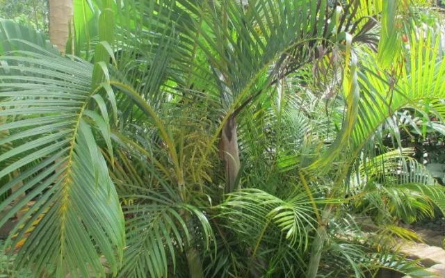 Tunas Lodge