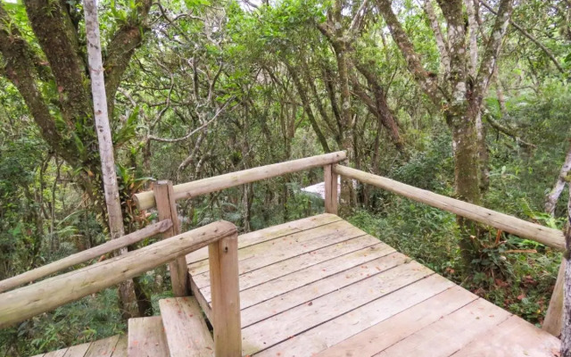 Suite Ibiraquera Master