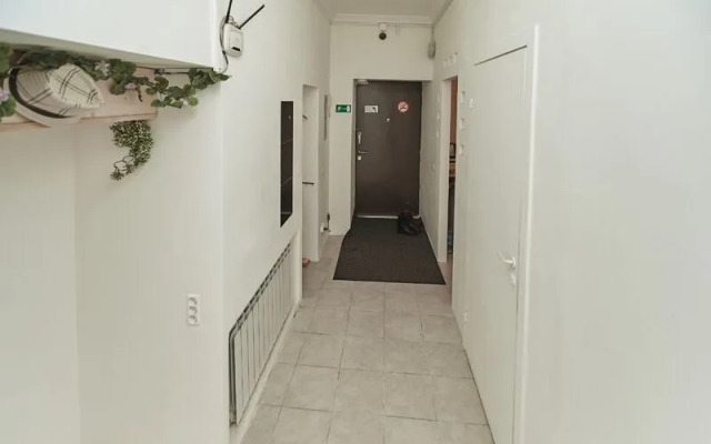 МК на Зеленина