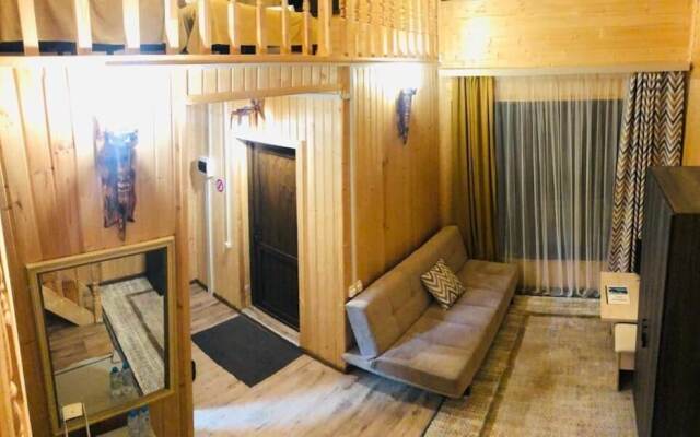 COTTAGE CHALET and TOURS