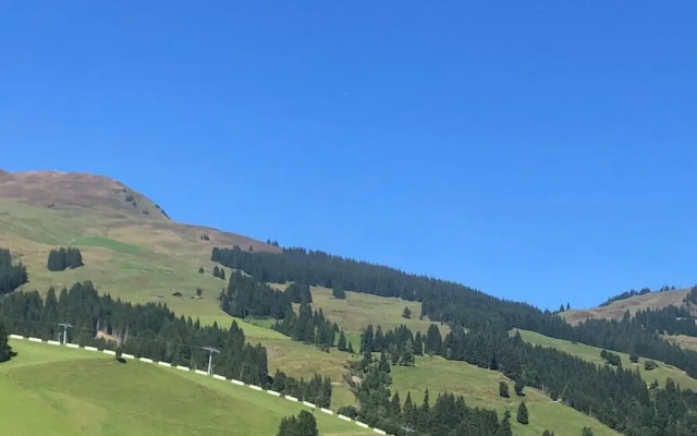Chalet Tannenbaum