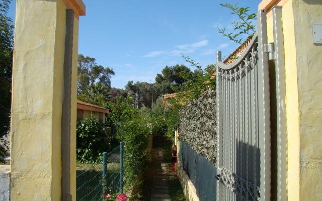 Le Ginestre