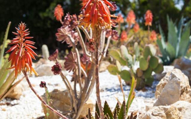 Villa Arzilla Country House Sardegna