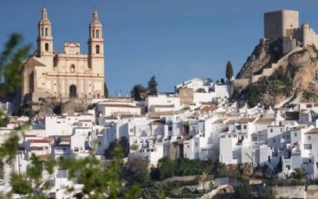 103710 -  Apartment in Grazalema