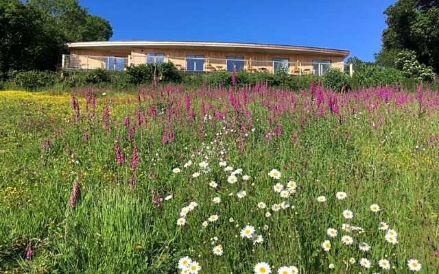 The Sanctuary Cornwall