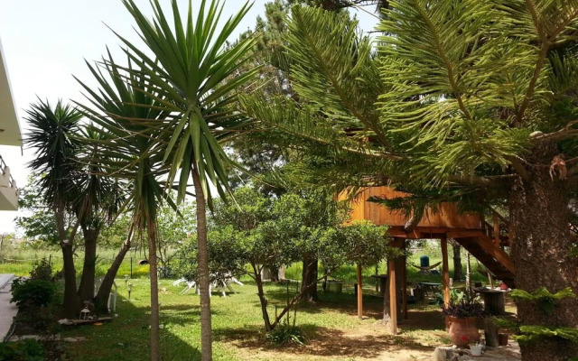 Gongis Studios