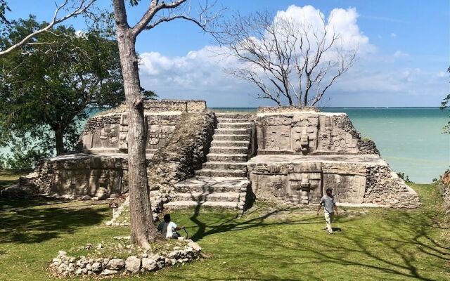 Rum Punch Lodge