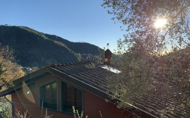 Villa Vigna