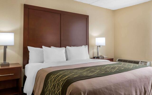 Comfort Inn - Pocono Mountains