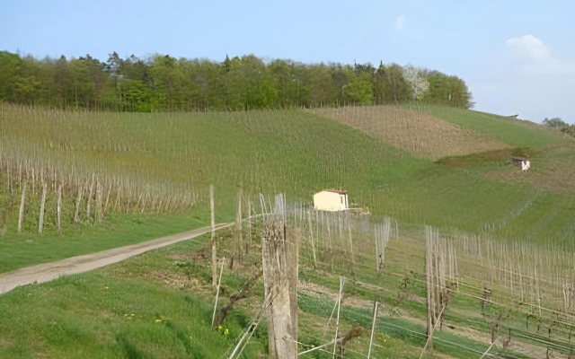Wengerterstube & Gästezimmer Kern