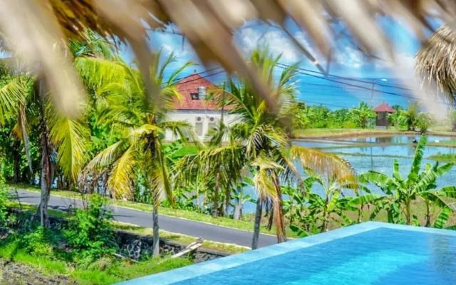 The Swell - Hostel - Adults Only