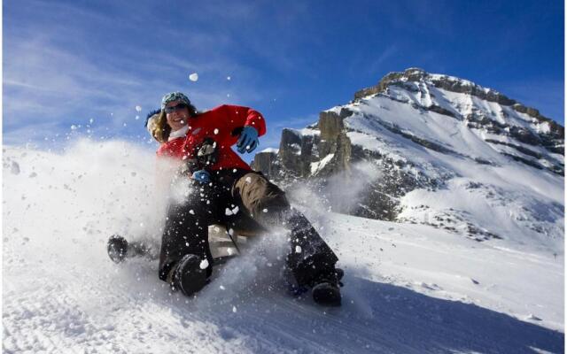 Appartement 1,5 pièce