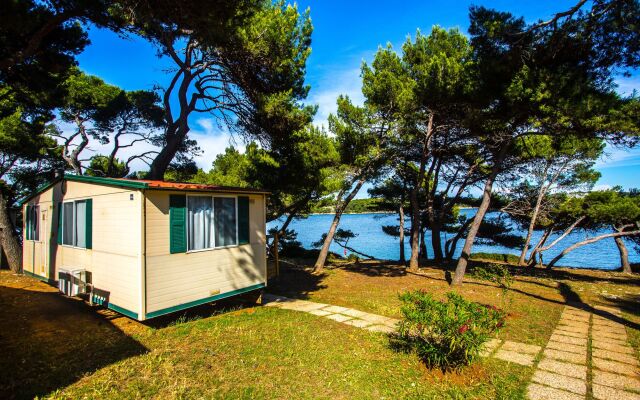 Arena Stoja Camping Homes