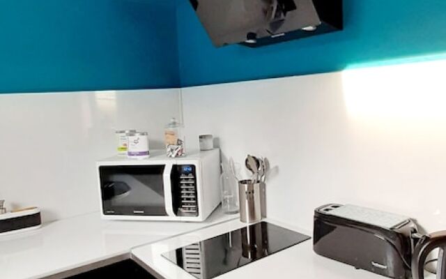 Le Pompon'ing, appartement coeur de ville