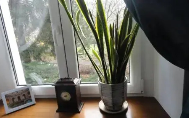 Apartament Orchidea