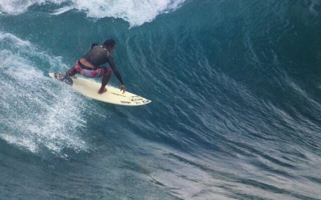 Premier Surf Camp