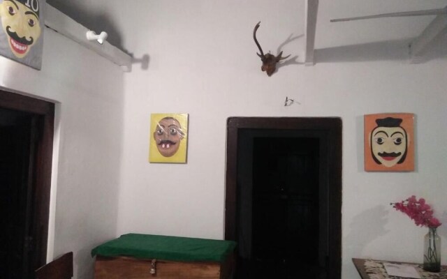 The Jungle House
