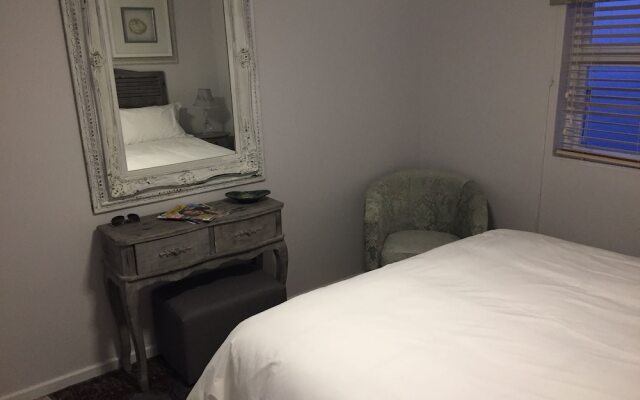 A Whale of A Time - Hermanus