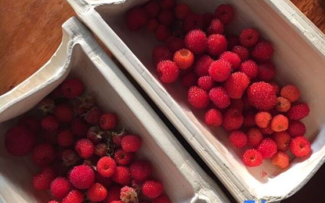 Moganshan Xizhan Homestay (Houwu Transfer Center)