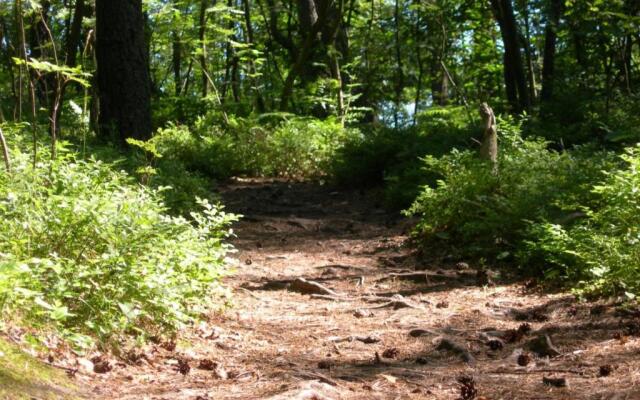 Ośrodek Wypoczynkowy Amber