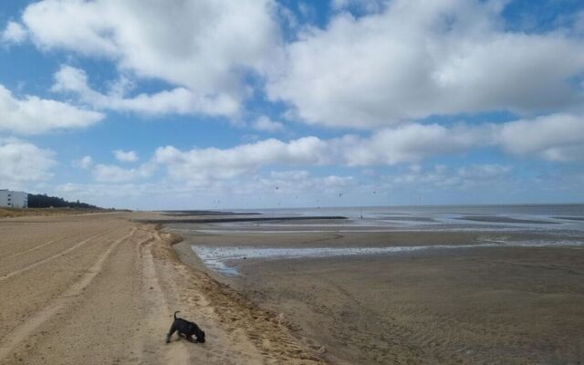 Heidhohn Comfortable Holiday Residence