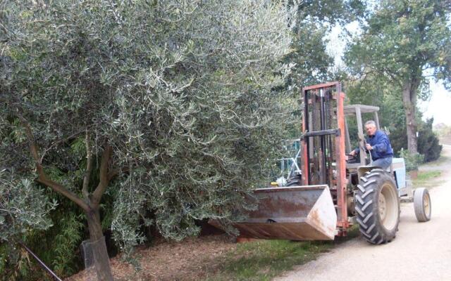 Agriturismo La Marletta