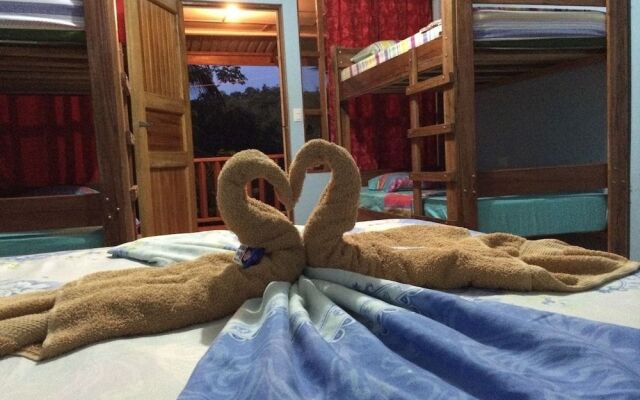 Hakuna Matata Drake Bay Hostel