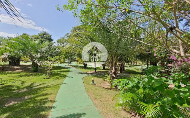 Paraíso na Reserva Imbassaí