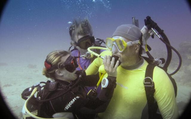 Gecko Nature Lodge & Swahili Divers