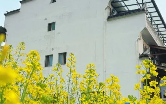 Wuyuan Taohuayuan Homestay