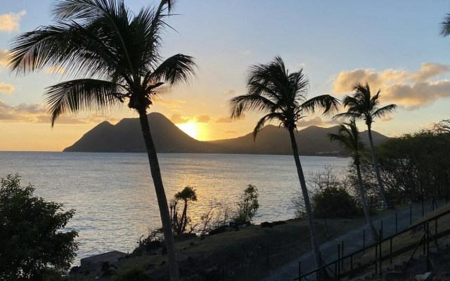 Studio Jungle Diamond