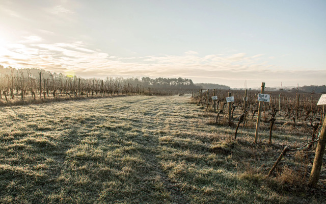 VANDENBELD Wines B&B