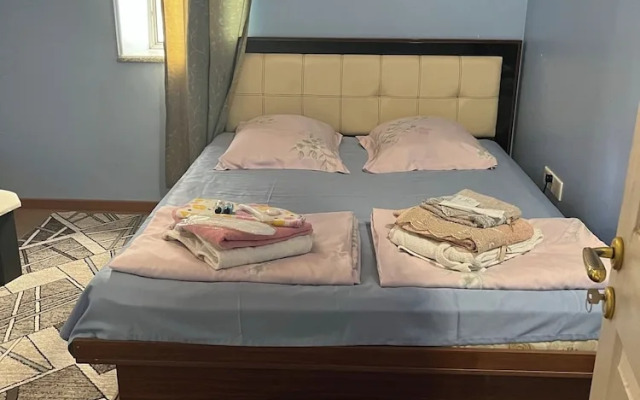 Yellow Fox Hostel