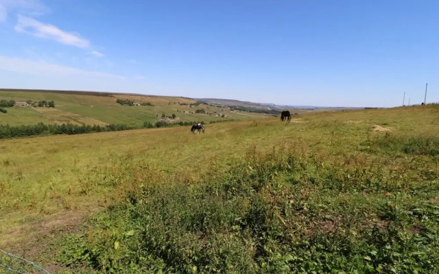 The Long View
