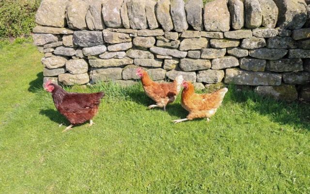 The Barn at Heath Hall Farm
