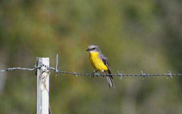 Barking Owl Retreat