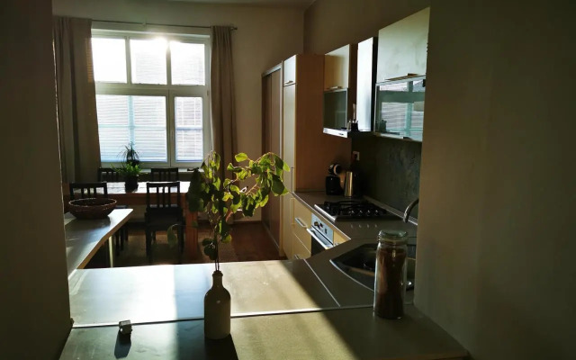 Falcon apartment