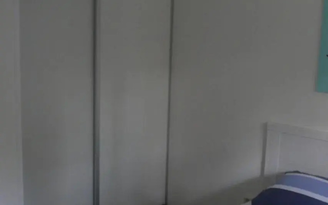 Dolfijn