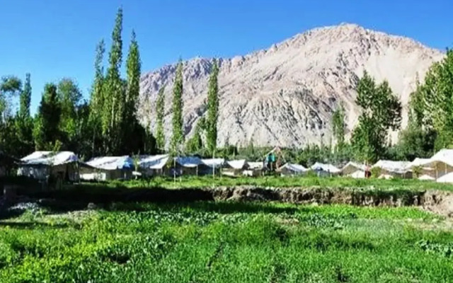 Saser Camp Nubra