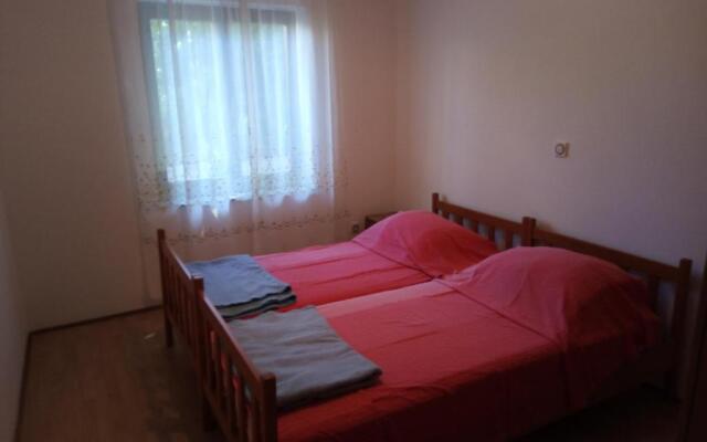 Apartments Placovici