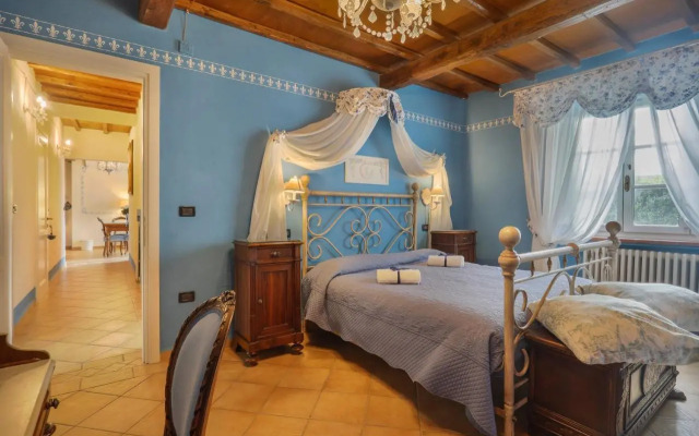 MIRTILLO di Home Hill